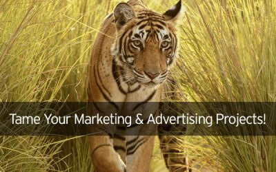 Tame Your Marketing & Advertising Projects